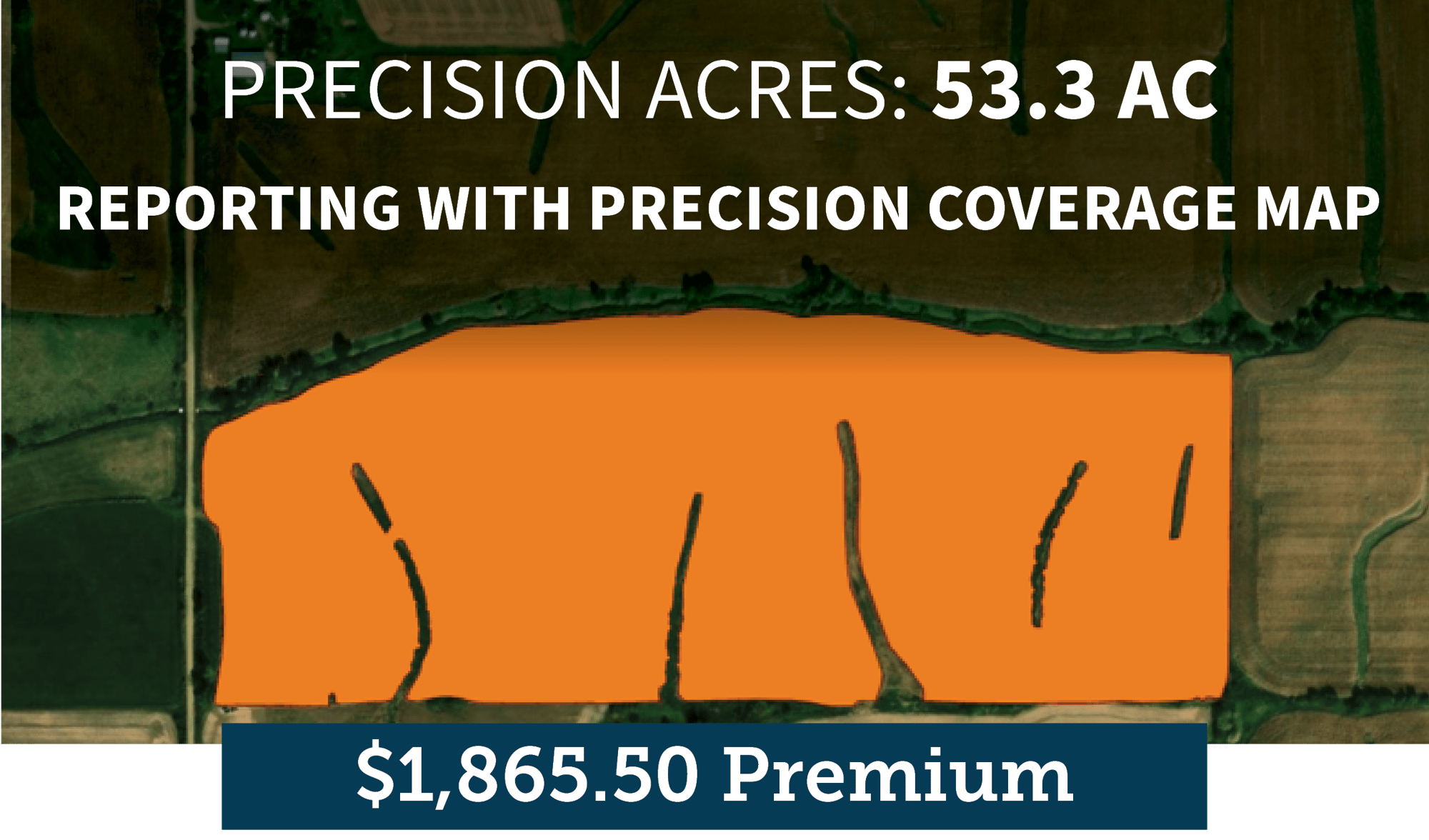 Precision %-1 Precision %-1